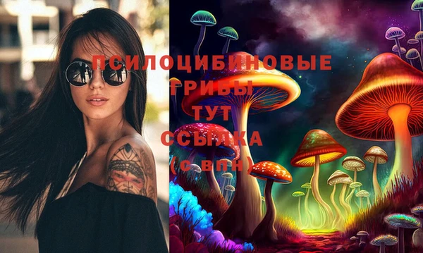 Альфа ПВП Алексин